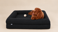 Load image into Gallery viewer, (Onyx boucle)