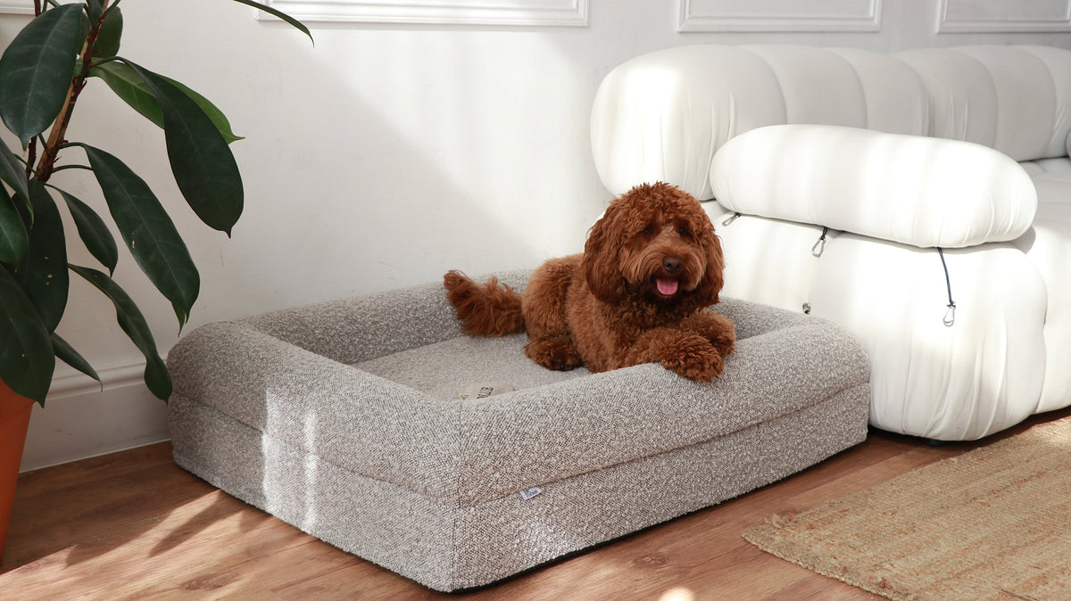 The Chelsea dog bed in Stone boucle, photographed in a living room (Stone Boucle)
