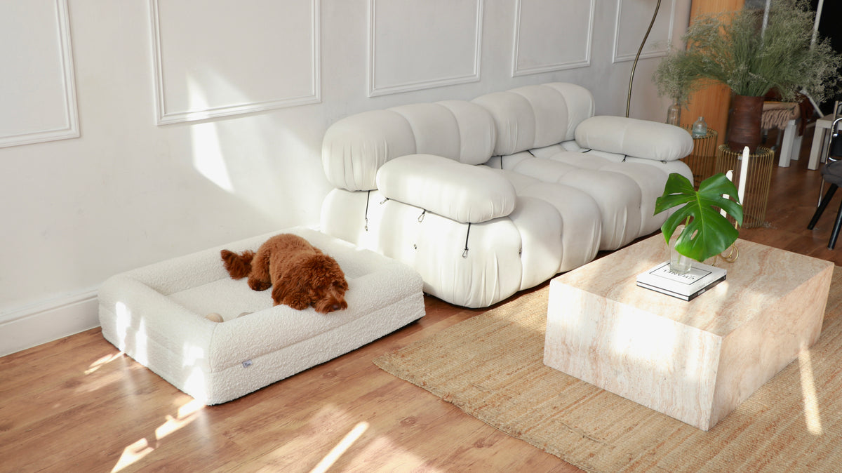 The Chelsea dog bed in Ivory boucle, photographed in a living room (Ivory Boucle)