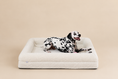 Load image into Gallery viewer, (Ivory boucle)
