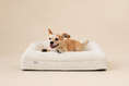 Load image into Gallery viewer, (Ivory boucle)
